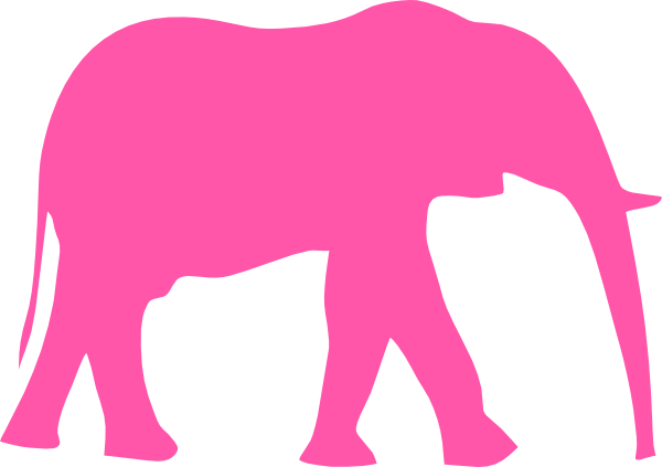 Onderzoek visie delicaat Over roze olifanten en lijken in de kast - Merlijn Advies Groep